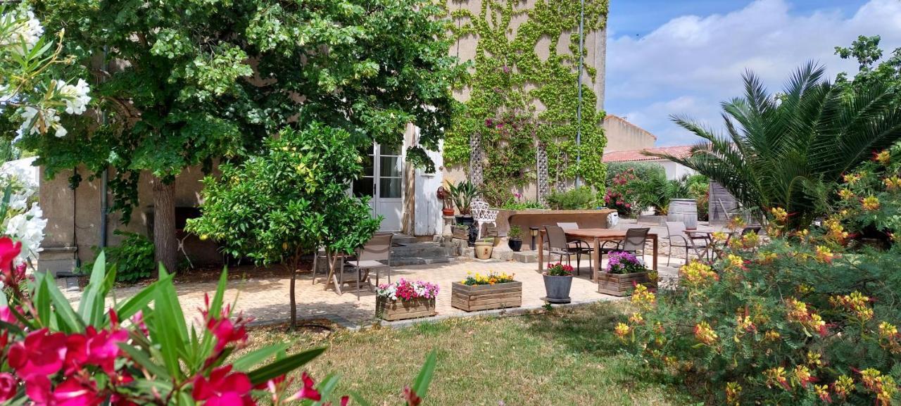 Maison Matisse Saint-Nazaire-d'Aude Exteriör bild